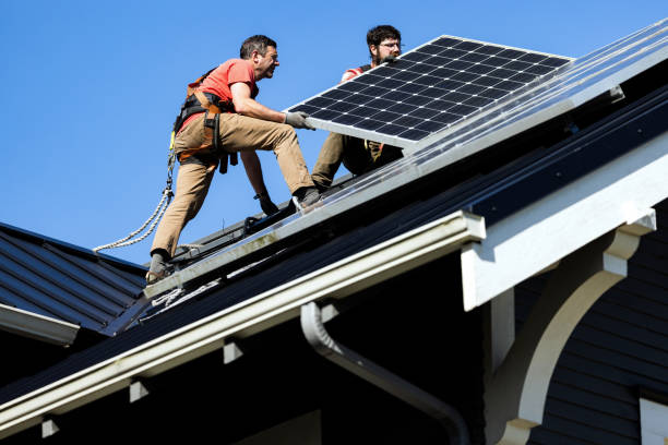 Best Roof Moss and Algae Removal  in Bethlehem, WV